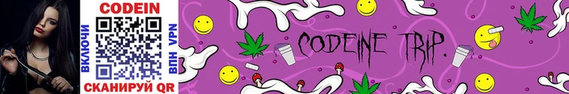 Кодеин Purple Drank  Купить закладки  Данков 