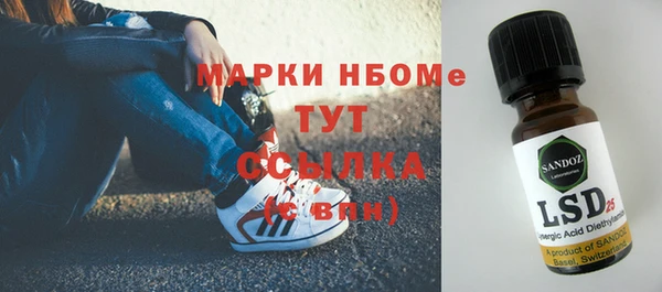 стаф Инсар