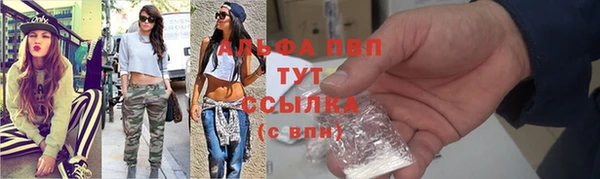 стаф Инсар