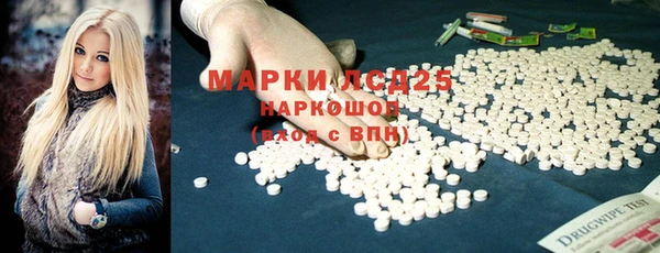стаф Инсар