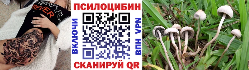 Галлюциногенные грибы мухоморы  Купить закладки  Данков 